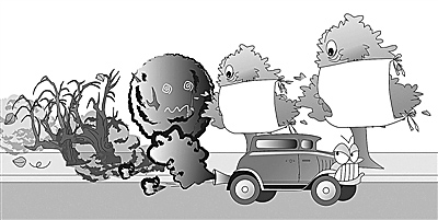 省生態(tài)環(huán)境廳、省公安廳來我市調(diào)研機(jī)動車污染防治工作