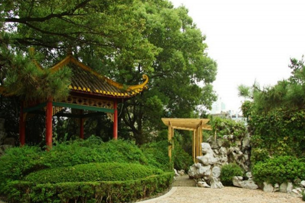 如何讓土地“變肥”，讓樹苗“夠吃”？