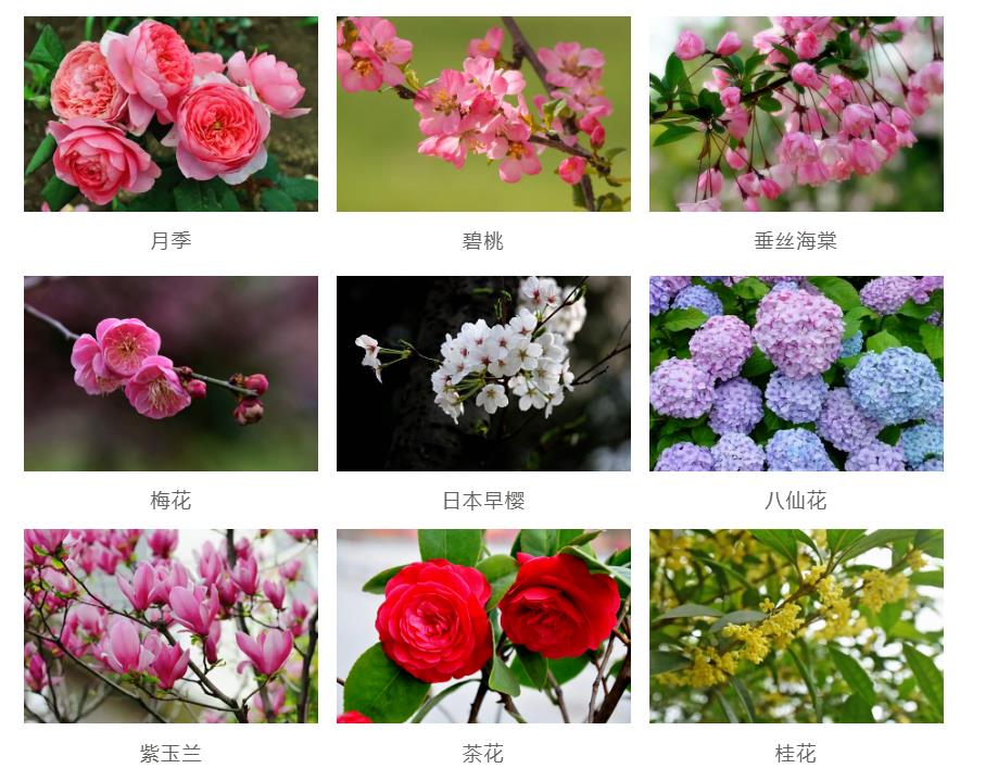 園林景觀工程如何節(jié)約成本？
