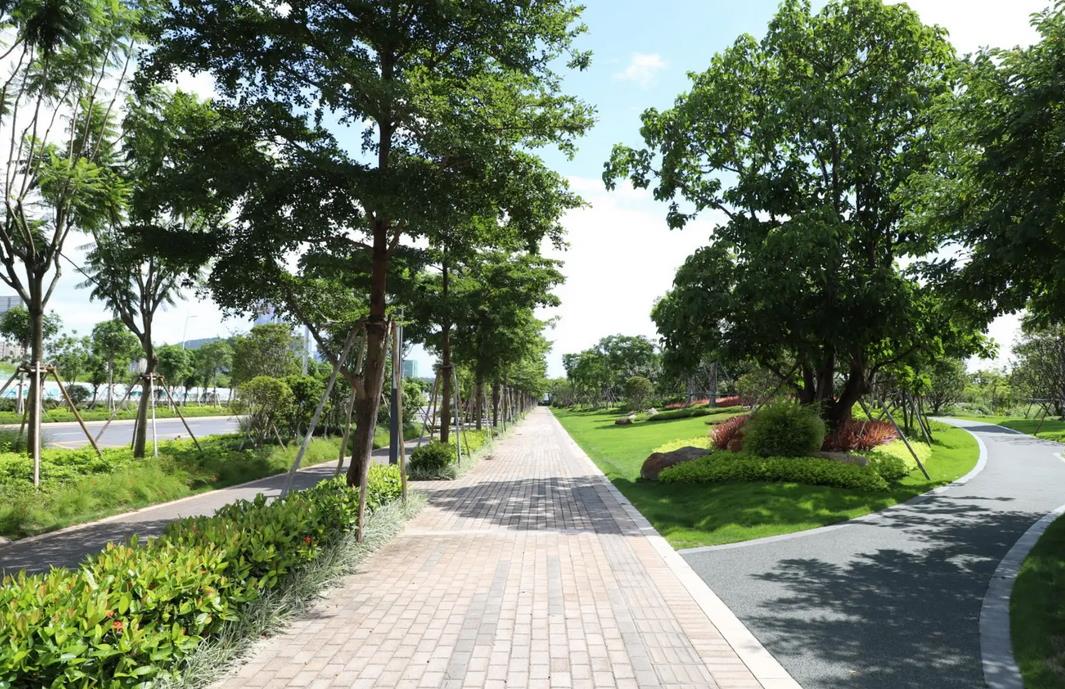 襄陽(yáng)園林綠化公司教你如何科學(xué)防控園林苗木病蟲害