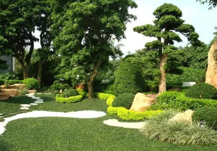 園林景觀設計之植物墻設計在哪些地方適合？